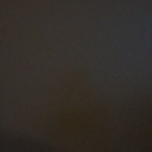 Meet your Posher, Charlene